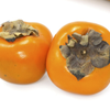 Persimmon