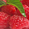 Framboise