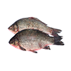 Sea bream