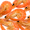 Grosses crevettes