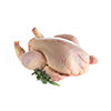 Poulet