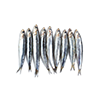 Sardine