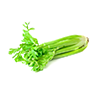 Celery